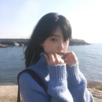 刺猬与城市 海报